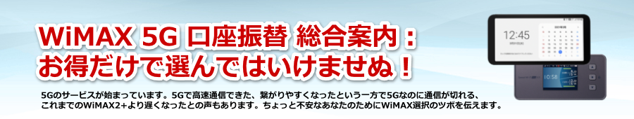 WiMAX+5G̃T[rXGA